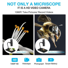 Load image into Gallery viewer, TBD06052667_B4.jpg@c67cf88440df8a3b9e5af71e70758e0f