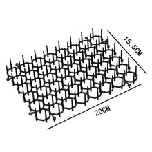 Load image into Gallery viewer, TBD06052698_B2.jpg@3488370fd5ba755877414377c1575817