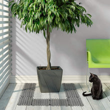 Load image into Gallery viewer, TBD06052698_B9.jpg@8c2e2ec4e418e8cc91090b651f0b78e9