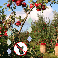 Load image into Gallery viewer, TBD06052806_B8.jpg@6ce7cba9ef2db37dc14239c14141a455