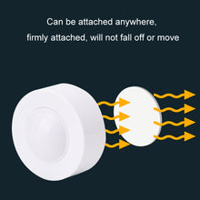 Load image into Gallery viewer, TBD06052944_B5.jpg@7fcaec6bae9e394f6b8edb80902a100a