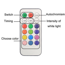 Load image into Gallery viewer, TBD06052947_B3.jpg@d1d2d1d63efe2199d8f66995a20dfc1f