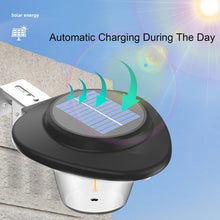 Load image into Gallery viewer, TBD06053368_B1.jpg@85c1a59e63976b9d56ac2910650284a4