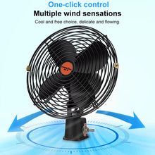 Load image into Gallery viewer, TBD06053966_B1.jpg@0bf582210da48e5e17a17078e69a3aa4