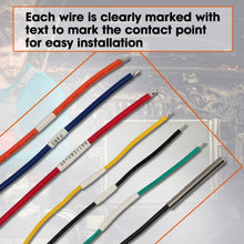 Load image into Gallery viewer, TBD06054181_B6.jpg@be447a8fde65989f3241db5f4885064b