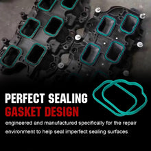 Load image into Gallery viewer, TBD06054270_B1.jpg@523ca8ce2faa362cfe11b36df9039110