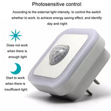 Load image into Gallery viewer, TBD06054329_B3.jpg@1749fed3f3c4a81e0455946407c1d314