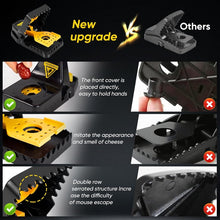 Load image into Gallery viewer, TBD06054335_B3.jpg@d99bc12d1a04fef2ad475a5c620d26dd