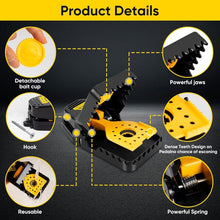 Load image into Gallery viewer, TBD06054335_B4.jpg@7d991155d39744d44233b1249250a017