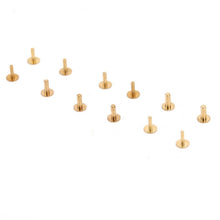 Load image into Gallery viewer, TBD06054496_B2.jpg@3e633b6b2efb68ed4b4e7b2c5a17321c