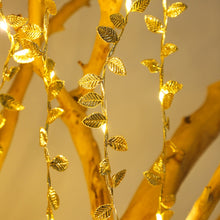 Load image into Gallery viewer, TBD06055479_B2.jpg@7b7a7f1614ea6088e888d9d552e211ec