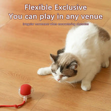 Load image into Gallery viewer, TBD06055589_B2.jpg@e416b787fb9a309ebb17b9636b7424b1