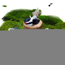 Load image into Gallery viewer, TBD06055829_B1.jpg@902d8eec859c718049f9c305d0f99c4c