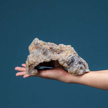 Load image into Gallery viewer, TBD0605583402.jpg@e718480cca15cbed3c5f58ea4e27dbe5