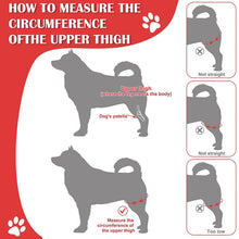 Load image into Gallery viewer, TBD06055986_B3.jpg@11e1b7dc8a1d804e6c8c3167e8cd66f8