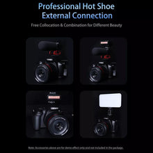 Load image into Gallery viewer, TBD06056167_4.jpg@01f6460ea16fa7297ad01868c61b87eb