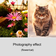 Load image into Gallery viewer, TBD06056472_B5.jpg@df1949c4c232525b37d46bffd7934e73