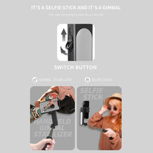 Load image into Gallery viewer, TBD06056776_B3.jpg@190b0170bacfdf4401d19b95b5462fcf