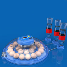 Load image into Gallery viewer, TBD0605689502.jpg@0c0394f6085dbb6dbca3e9ac9436f7f0