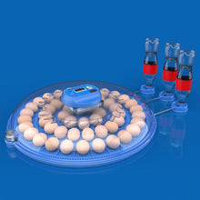 Load image into Gallery viewer, TBD0605689506.jpg@df47631eadffd1d60b50f64307cb230d