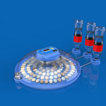 Load image into Gallery viewer, TBD0605689511.jpg@3437b88c02b07c8a5b6541d03923463d