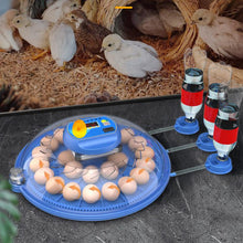 Load image into Gallery viewer, TBD06056895_B1.jpg@467852ff1d8be8ac66b2d54a7c2c3d58