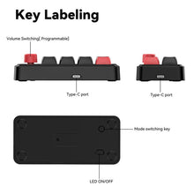 Load image into Gallery viewer, TBD06057287_B2.jpg@9326b3871359227284c16827700c30d0