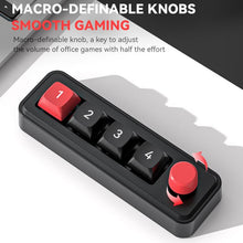 Load image into Gallery viewer, TBD06057291_B6.jpg@7357ac3a58d0f4e3a07572617c4a45ea