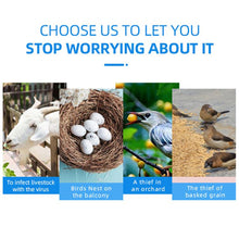 Load image into Gallery viewer, TBD06057755_B2.jpg@4145af1938139a3a98e5bbfd31f2e08b