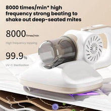 Load image into Gallery viewer, TBD06057811_B4.jpg@e1be8233aa5d7029d7b0f85831b4ef1f