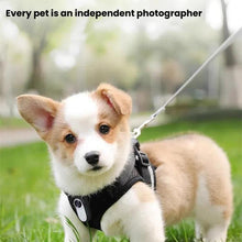 Load image into Gallery viewer, TBD06058184_B2.jpg@f0a5878ce62b67bba5fc3b29fa86e49c