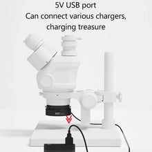 Load image into Gallery viewer, TBD06058276_B2.jpg@7e03e8c65b2dbf75b33c77fdb421a754