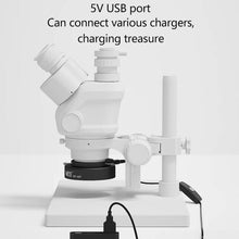 Load image into Gallery viewer, TBD06058279_B2.jpg@d93232ea8bab6f98cad7226a41684ca5