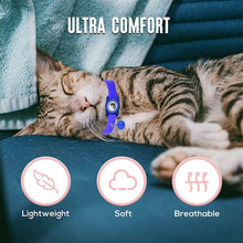 Load image into Gallery viewer, TBD06058347_B7.jpg@ac74bdfecc72cbd18489259bc30bd8c4