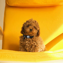 Load image into Gallery viewer, TBD06058347_B9.jpg@3099dbc1308e4a30ca1786fe16114592