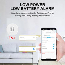 Load image into Gallery viewer, TBD06059045_9.jpg@71cb9be24d4a373b7a41ada19fd23d4e