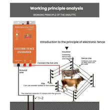 Load image into Gallery viewer, TBD06059063_B3.jpg@c9a669cbdda14977c0e61dda5a56a5ad