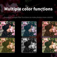 Load image into Gallery viewer, TBD06059184_B19.jpg@34fafa0103ece352e268f0b633f9d967