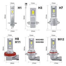 Load image into Gallery viewer, TBD06059236_B2.jpg@8769a49fc5da7788a78f17288d0150ec