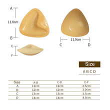 Load image into Gallery viewer, TBD06059440_B2.jpg@e5614769bbc669d3793ac2d7b1e9b10f