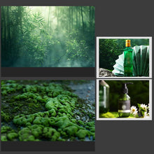 Load image into Gallery viewer, TBD0605948801C_1.jpg@6253f268d9cd997066e06a6e36f89c62