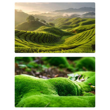 Load image into Gallery viewer, TBD0605948801D.jpg@608fcf02d49e917df3f86e9cf8c59e4d