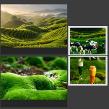 Load image into Gallery viewer, TBD0605948801D_1.jpg@7306f930d0309262c3a0f831d92dc483