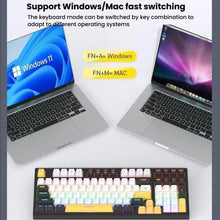 Load image into Gallery viewer, TBD06059928_B4.jpg@cb24f7f8ffb814eada5c1c7fbefaafb5