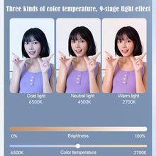 Load image into Gallery viewer, TBD06060181_B5.jpg@ef09954b9b5da8ded384ca90a3052853