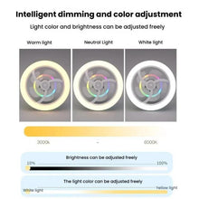 Load image into Gallery viewer, TBD06060501_B4.jpg@e0505a1facf0c927ebdb163b58a504a4