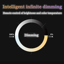 Load image into Gallery viewer, TBD06060502_B5.jpg@560632a5d5f1b074e471a59304839319