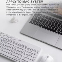 Load image into Gallery viewer, TBD06060581_B4.jpg@ea7d915f195d77183e28330a007f36e4