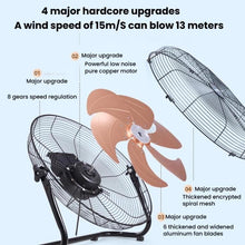 Load image into Gallery viewer, TBD06061106_B3.jpg@137a54bb2aa6a71bdeaba582c39a2c37