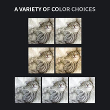 Load image into Gallery viewer, TBD06061167_B3.jpg@509ef9daa583585532396fd29a99838b